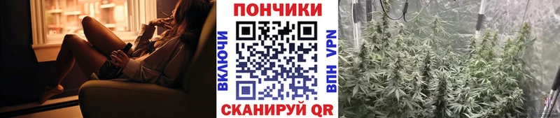 Где купить наркотики Пудож КОКАИН  АМФЕТАМИН  Меф  ГАШ  Галлюциногенные грибы  Героин  Каннабис 