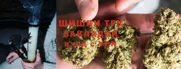PSILOCYBIN Алексеевка