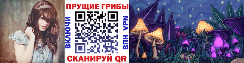 Псилоцибиновые грибы GOLDEN TEACHER  Пудож 